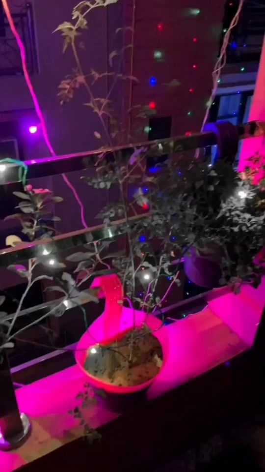 TikTok video thumbnail by msohailboy