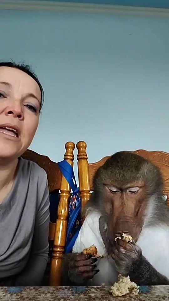 TikTok video thumbnail by mankiblog