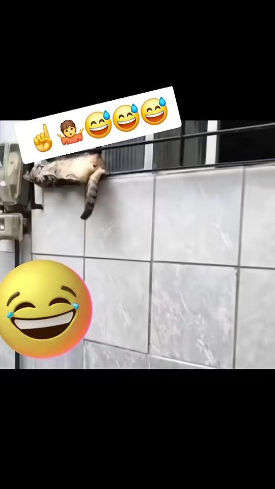 TikTok video thumbnail by stefan11.10.1975