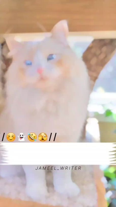 TikTok video thumbnail by anstore365