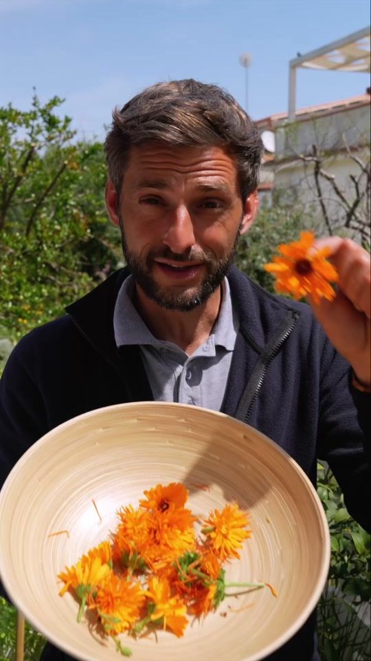 TikTok video thumbnail by thefrenchiegardener