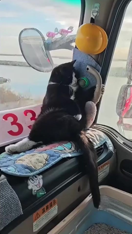 TikTok video thumbnail by nsfn6324tth