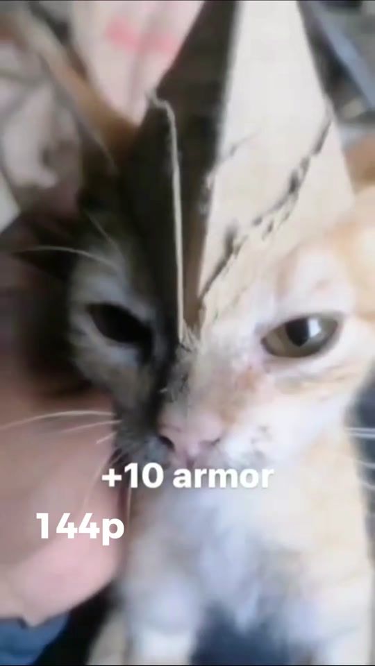 TikTok video thumbnail by bartolitostream