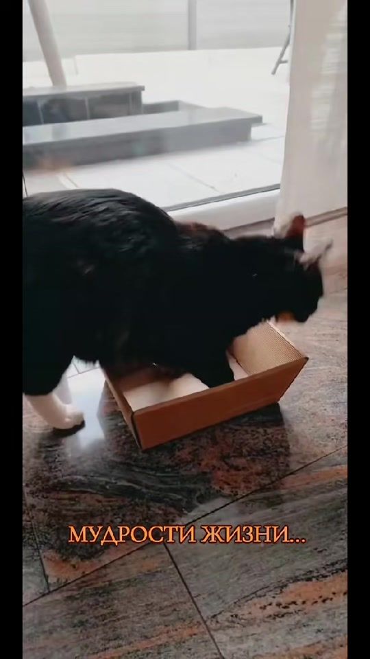TikTok video thumbnail by murka.glamurka