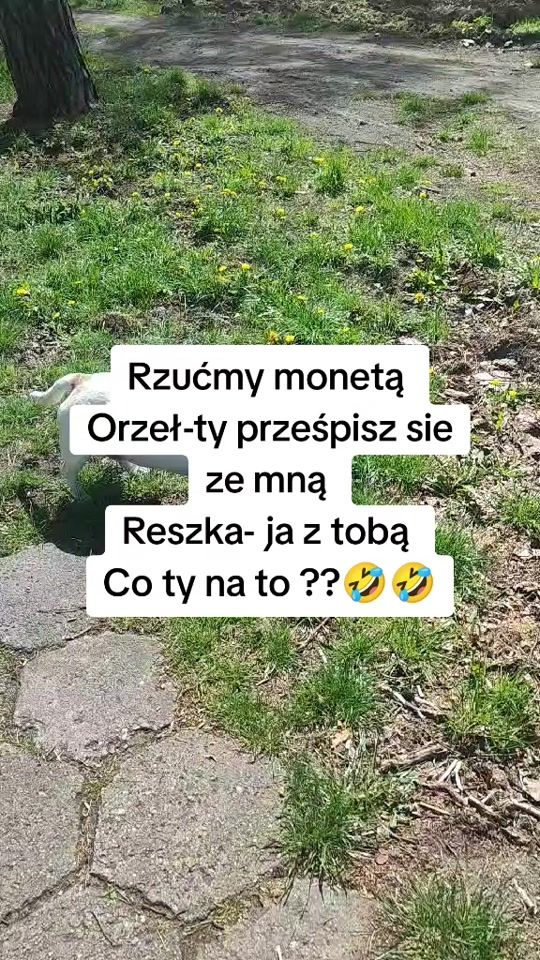 TikTok video thumbnail by ruda_marta