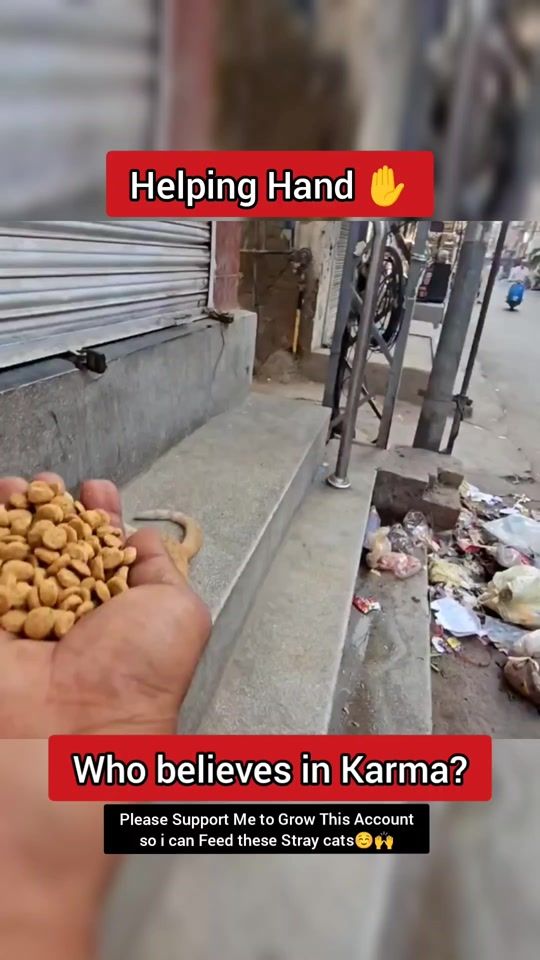 TikTok video thumbnail by catology18