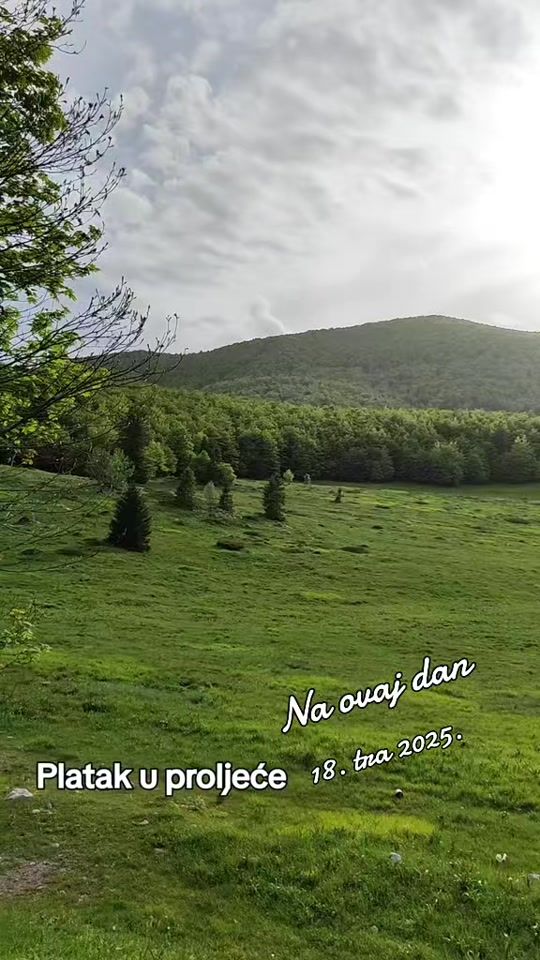 TikTok video thumbnail by zvonko600