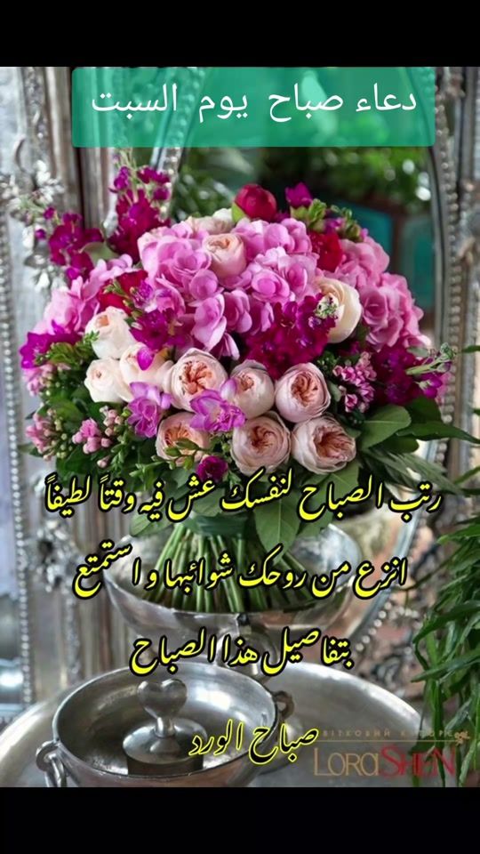 TikTok video thumbnail by salma614_