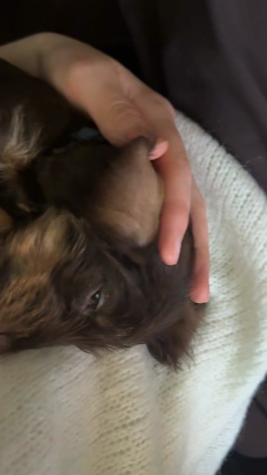 TikTok video thumbnail by krikuuuu