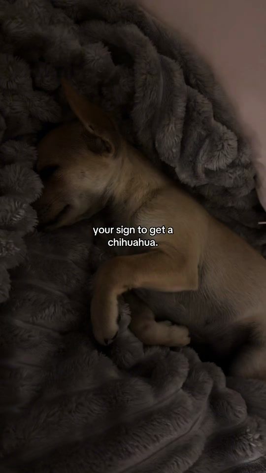 TikTok video thumbnail by user197757842