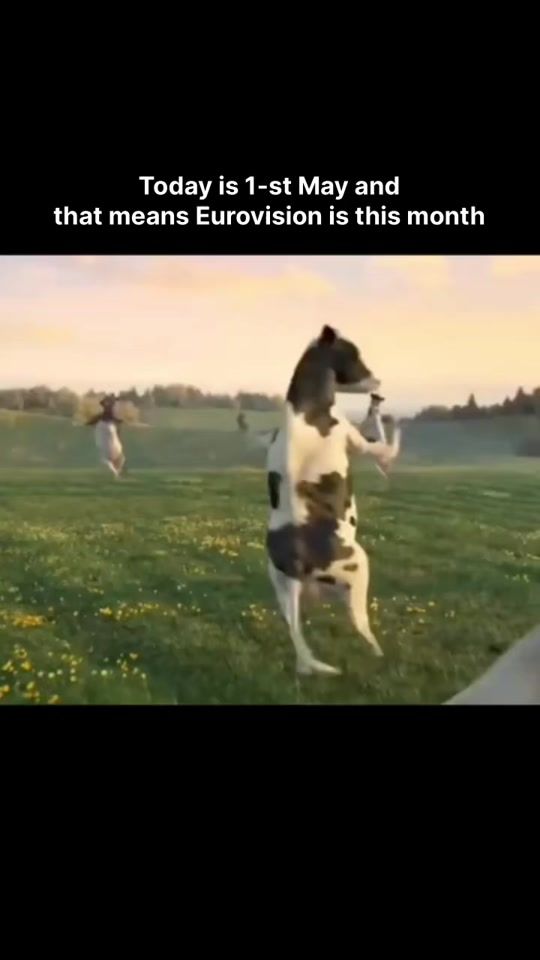 TikTok video thumbnail by esc.teo8