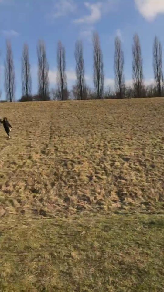 TikTok video thumbnail by mariannesb