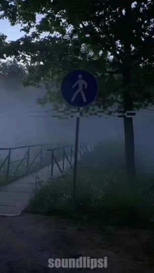 TikTok video thumbnail by soundlipsi