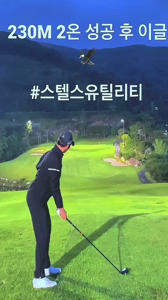 TikTok video thumbnail by seyoungindaeyo8