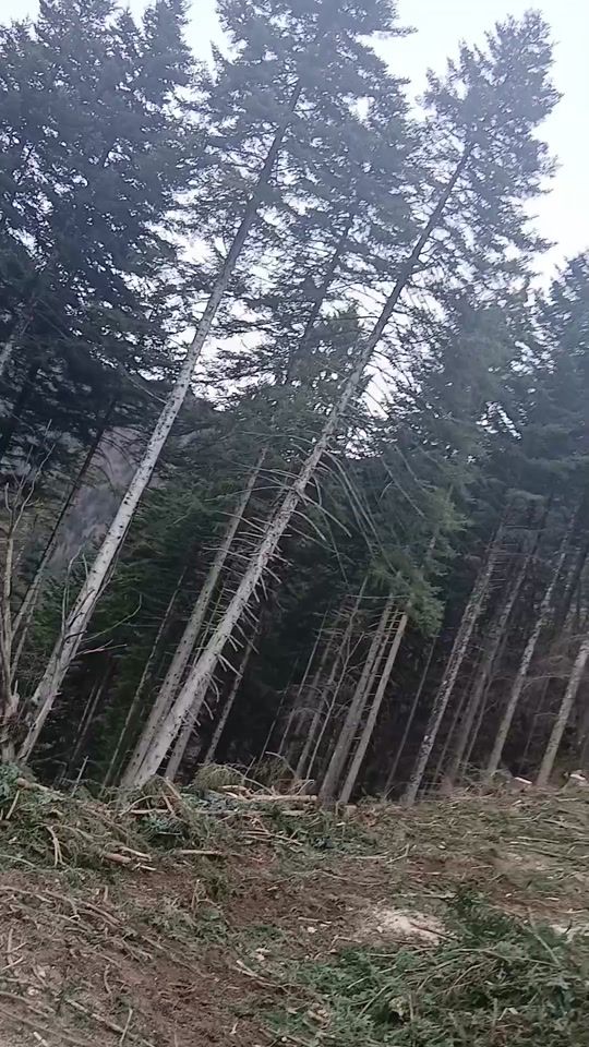 TikTok video thumbnail by matec34569