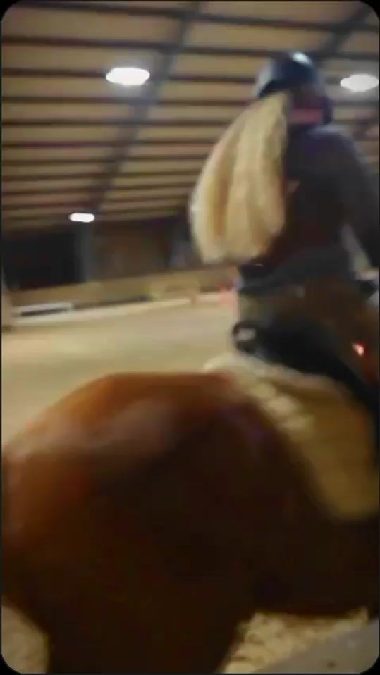 TikTok video thumbnail by paarden535