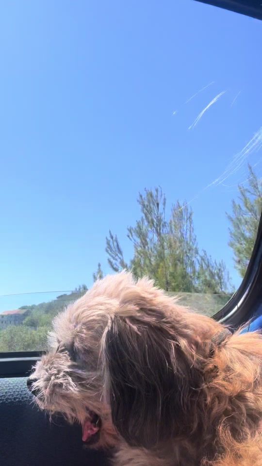 TikTok video thumbnail by _maja_7755