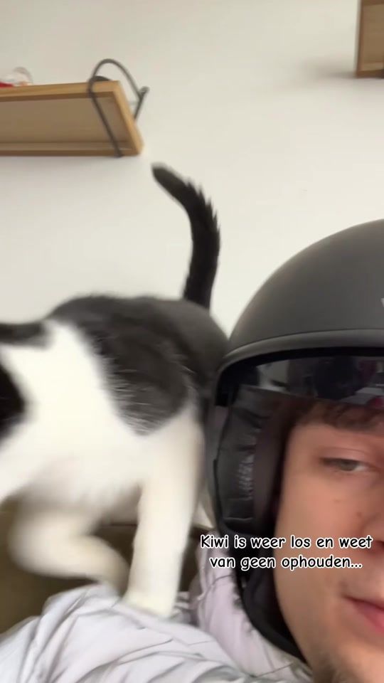 TikTok video thumbnail by lucc_vdb