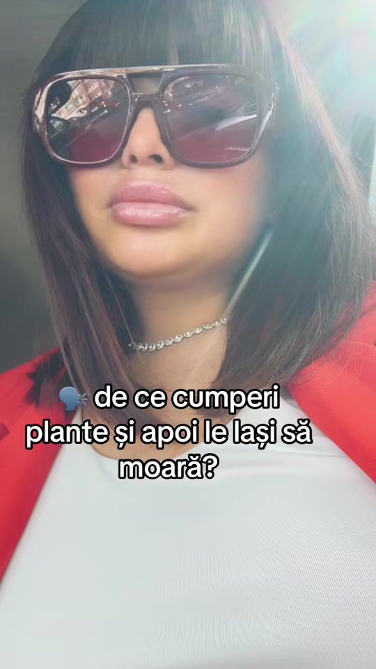 TikTok video thumbnail by ancu.ancu