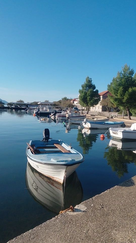 TikTok video thumbnail by miryamperla