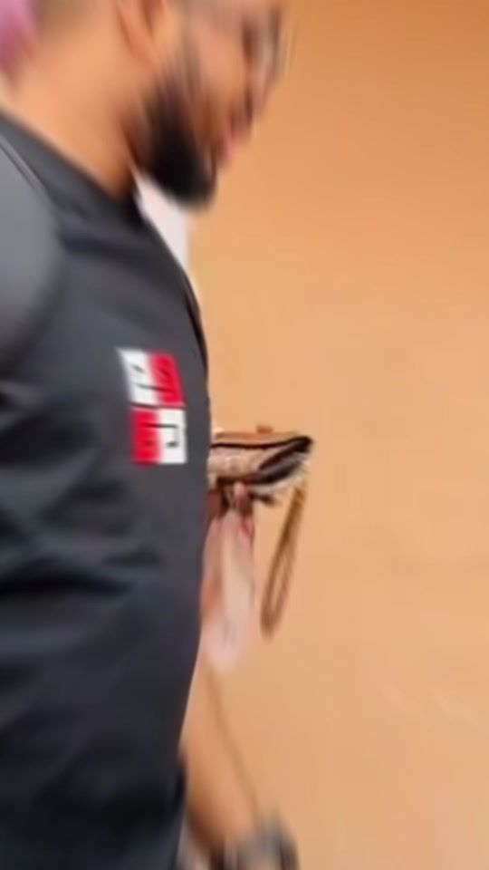 TikTok video thumbnail by palmerbinguifans