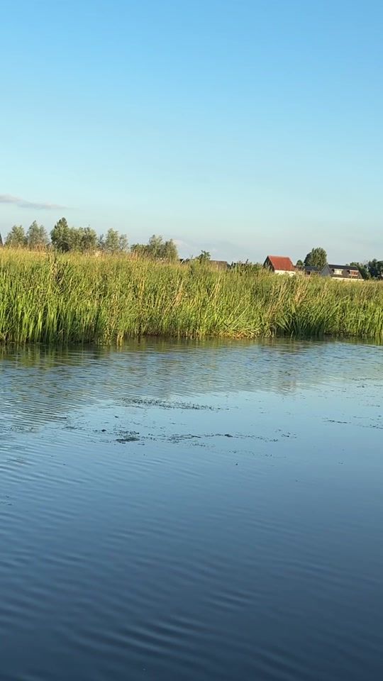 TikTok video thumbnail by nuclear_blonde_nl