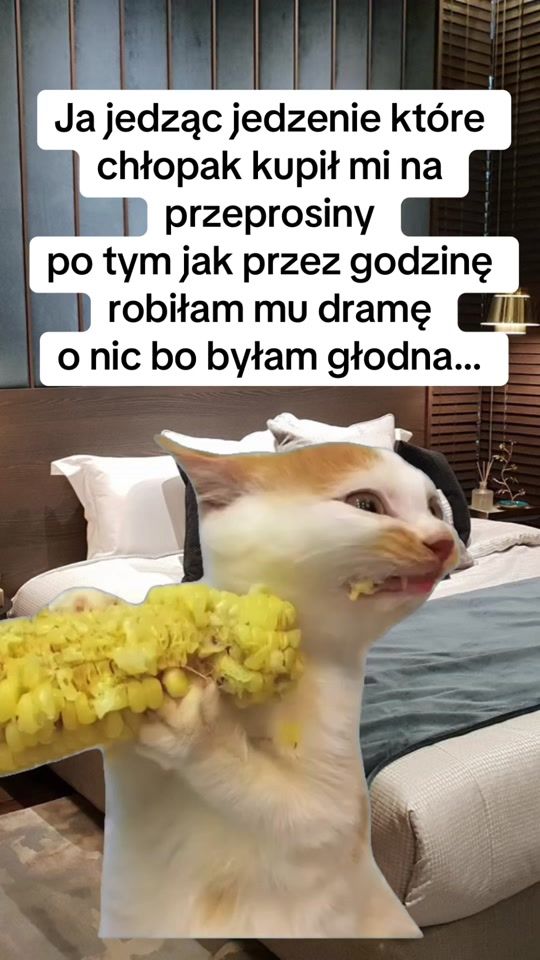 TikTok video thumbnail by seriesplka