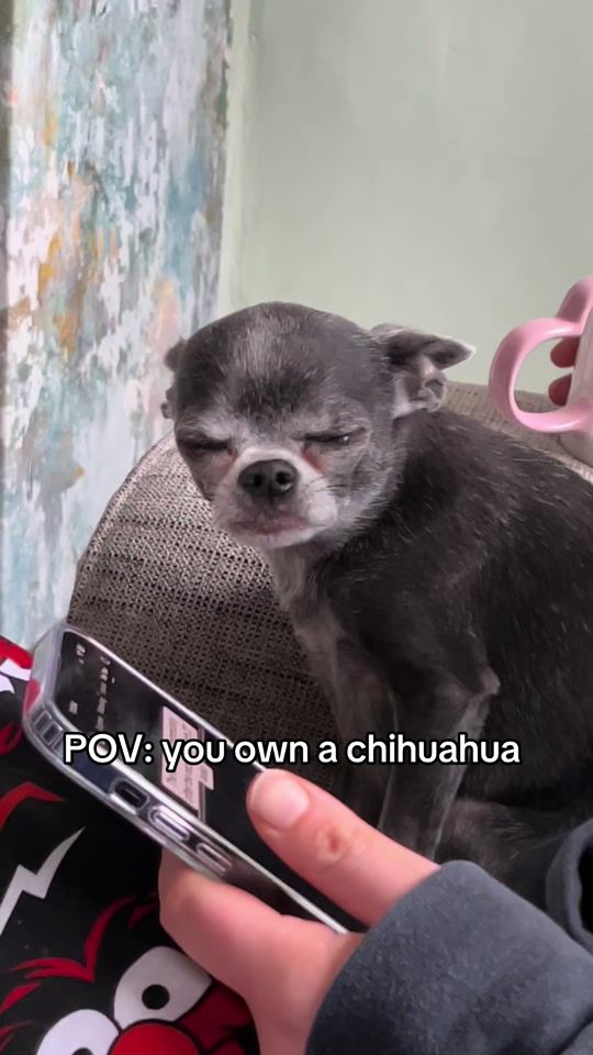 TikTok video thumbnail by vinnietheboston28