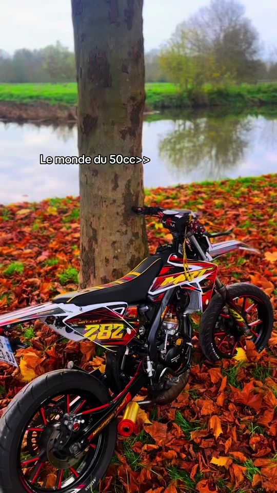 TikTok video thumbnail by shad0w618