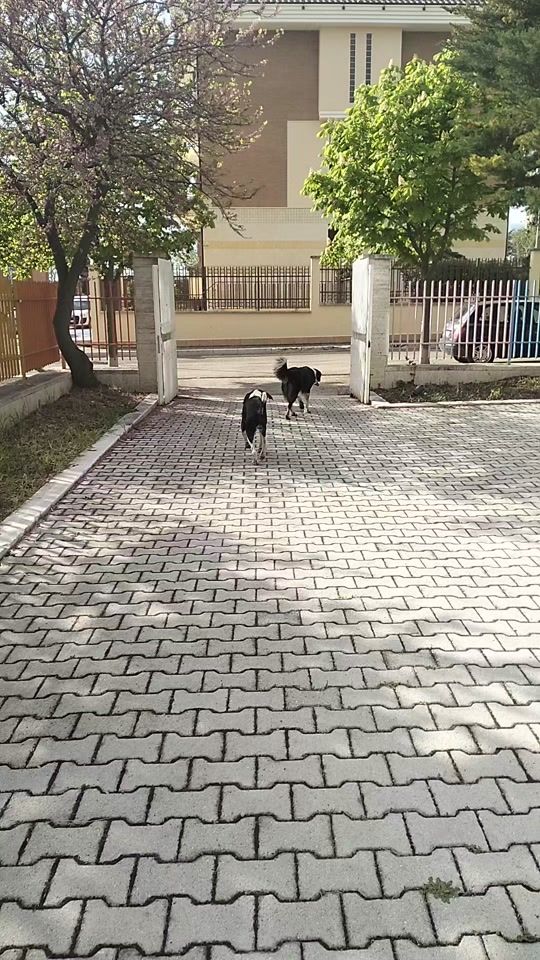 TikTok video thumbnail by limperatrice_sarda