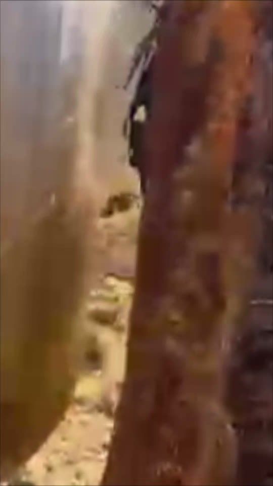 TikTok video thumbnail by zribeiro09