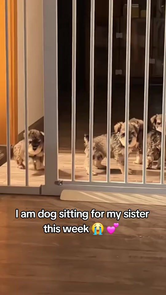 TikTok video thumbnail by underrated.moments