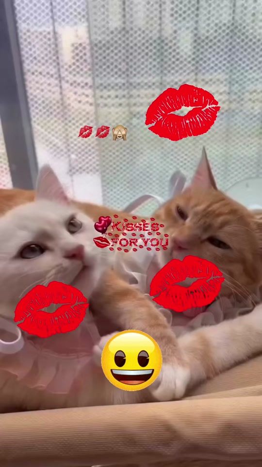 TikTok video thumbnail by sultan.6536