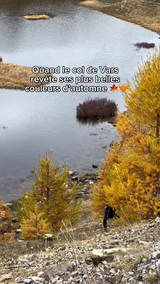 TikTok video thumbnail by visitsouthoffrance