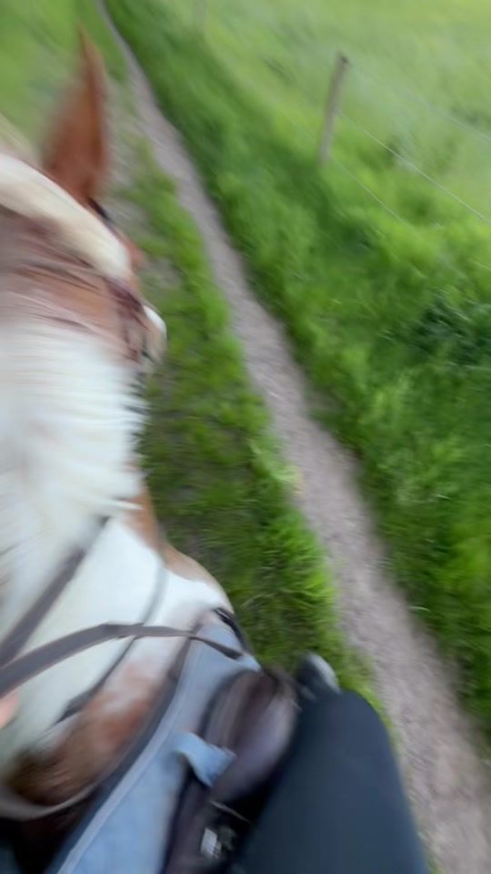 TikTok video thumbnail by amyy_mee