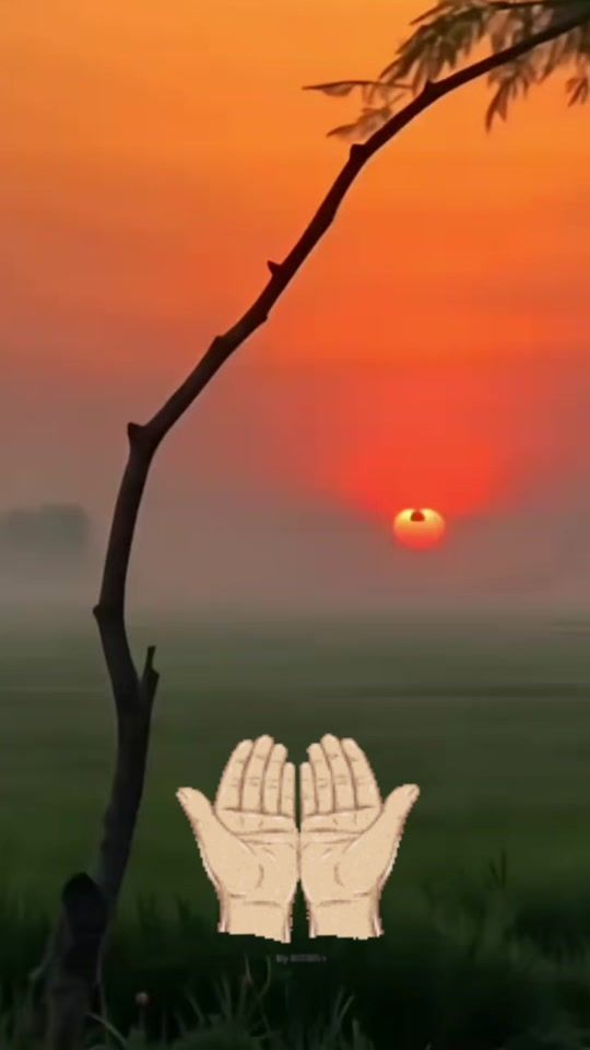 TikTok video thumbnail by lahajjami