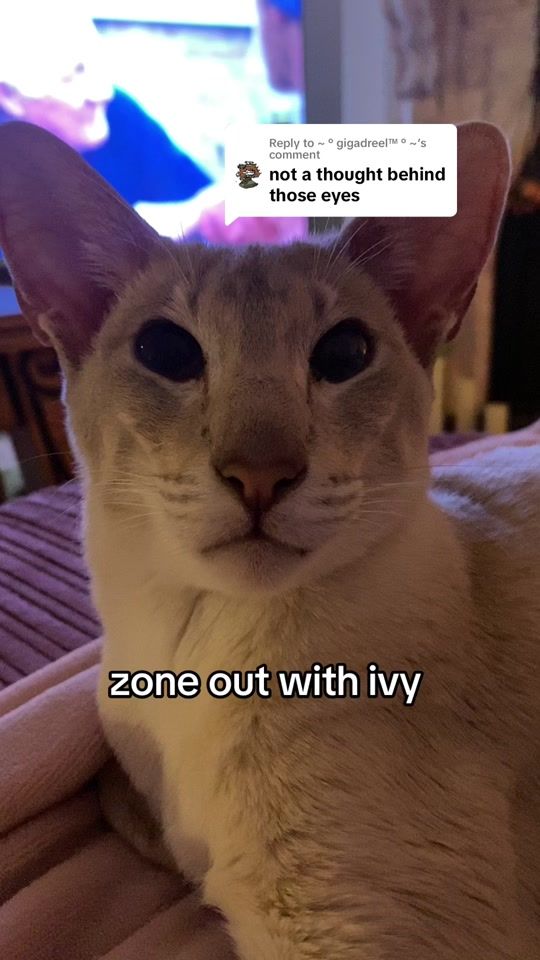 TikTok video thumbnail by ivy.alien