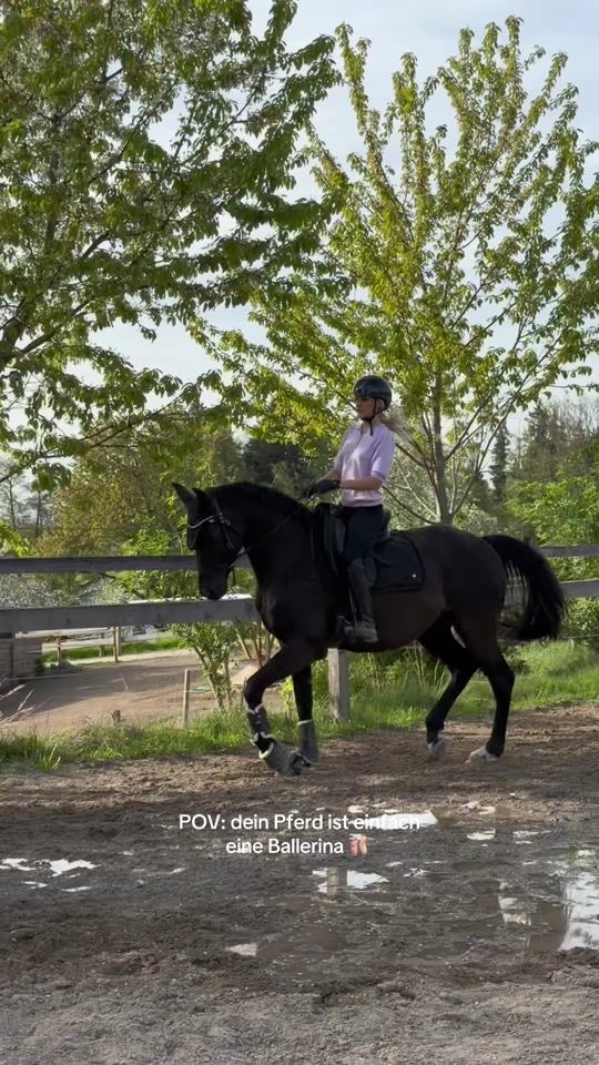 TikTok video thumbnail by lea_jell_working