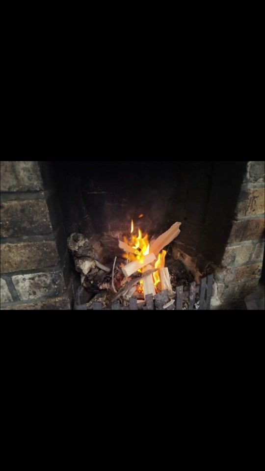 TikTok video thumbnail by survival_ste
