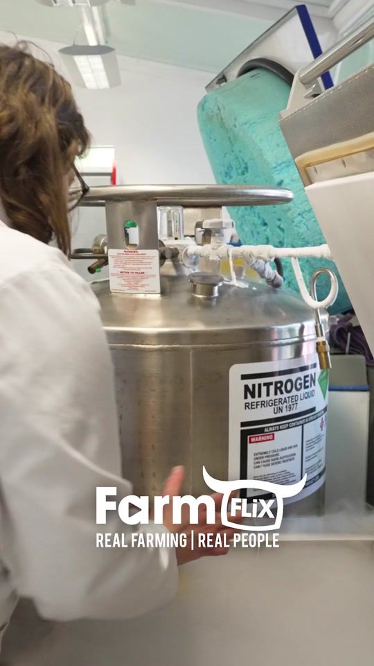 TikTok video thumbnail by farmflix