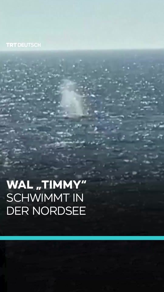 TikTok video thumbnail by trtdeutsch