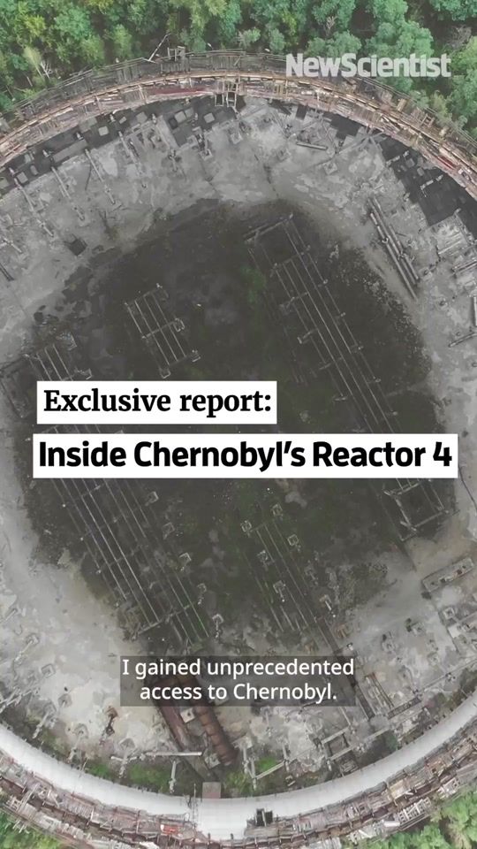 TikTok video thumbnail by newscientist