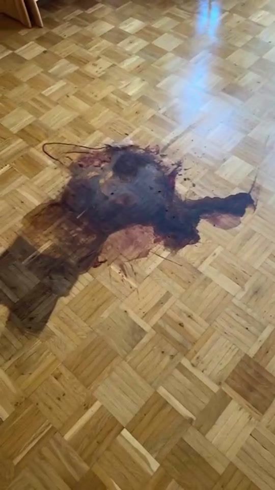 TikTok video thumbnail by dertatortreiniger