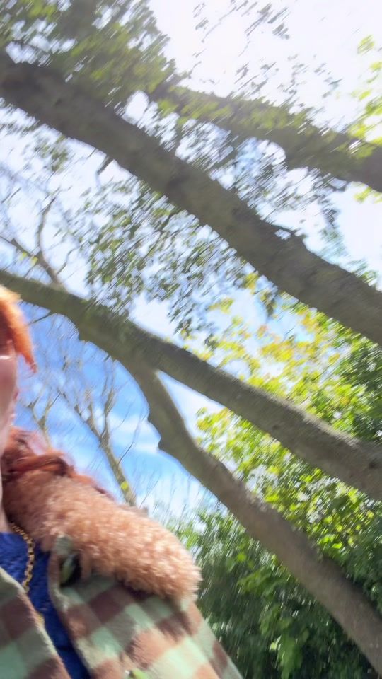 TikTok video thumbnail by victoriaemes