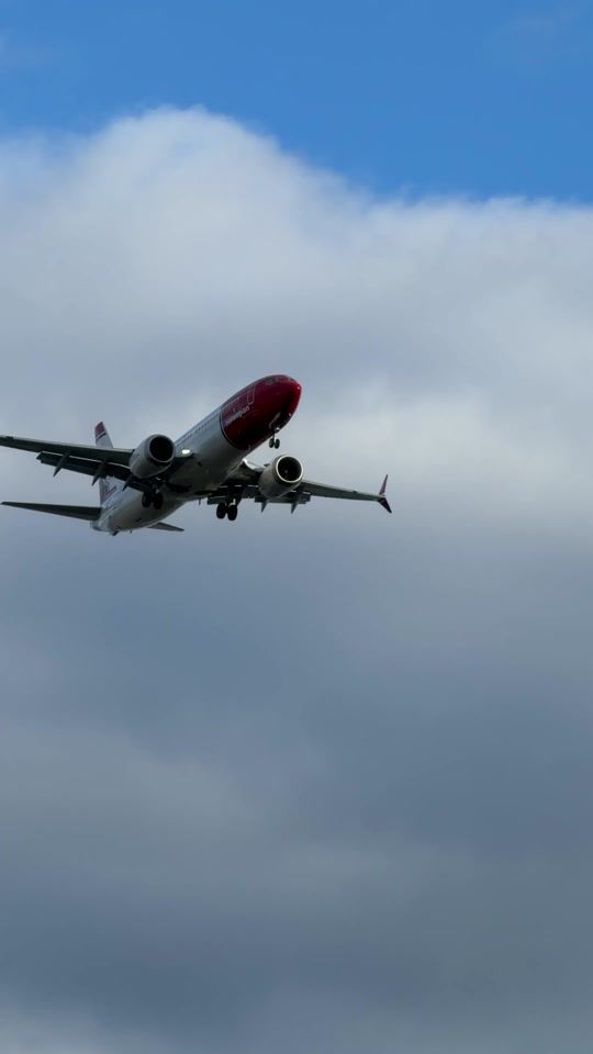 TikTok video thumbnail by puresurfcamps