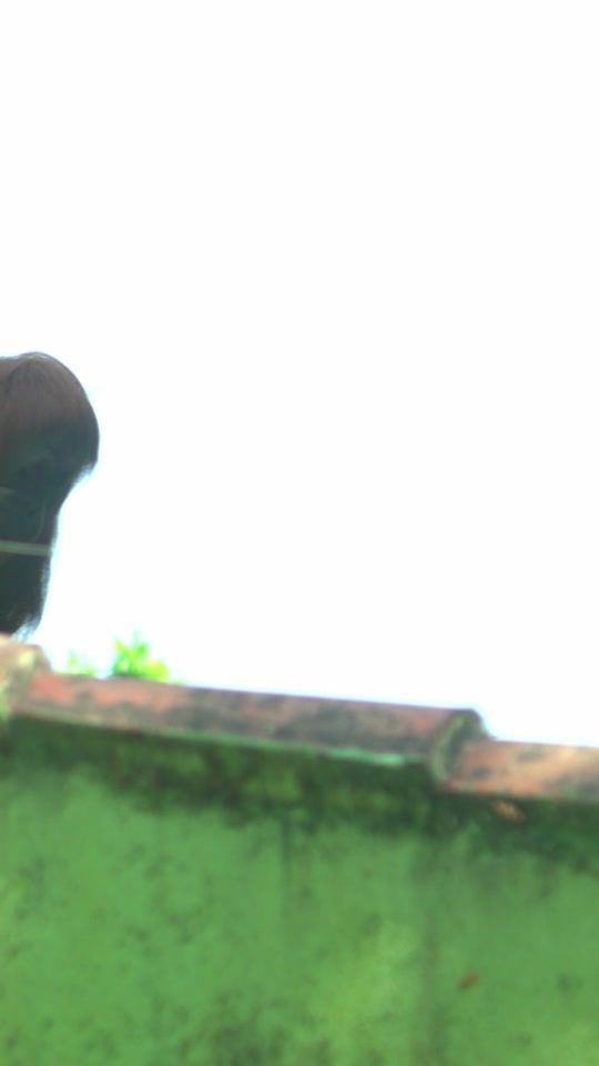 TikTok video thumbnail by xtrauss