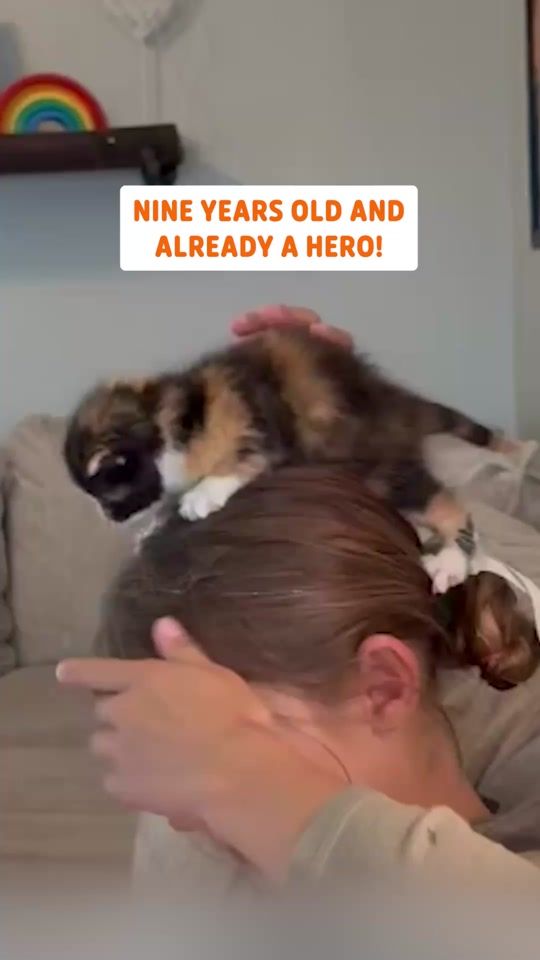 TikTok video thumbnail by pawsomepets