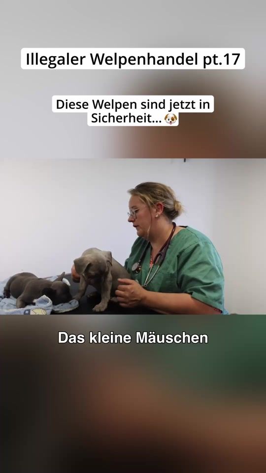 TikTok video thumbnail by _hunderunde_