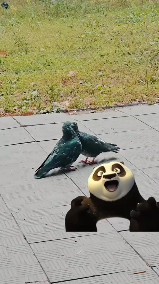 TikTok video thumbnail by protectthewild_