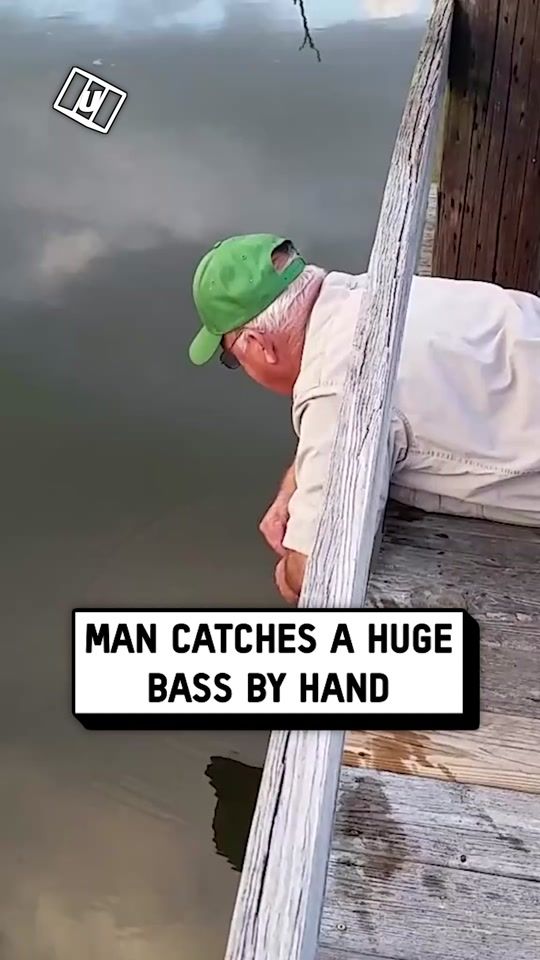 TikTok video thumbnail by unilad